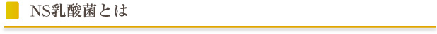 NS乳酸菌とは